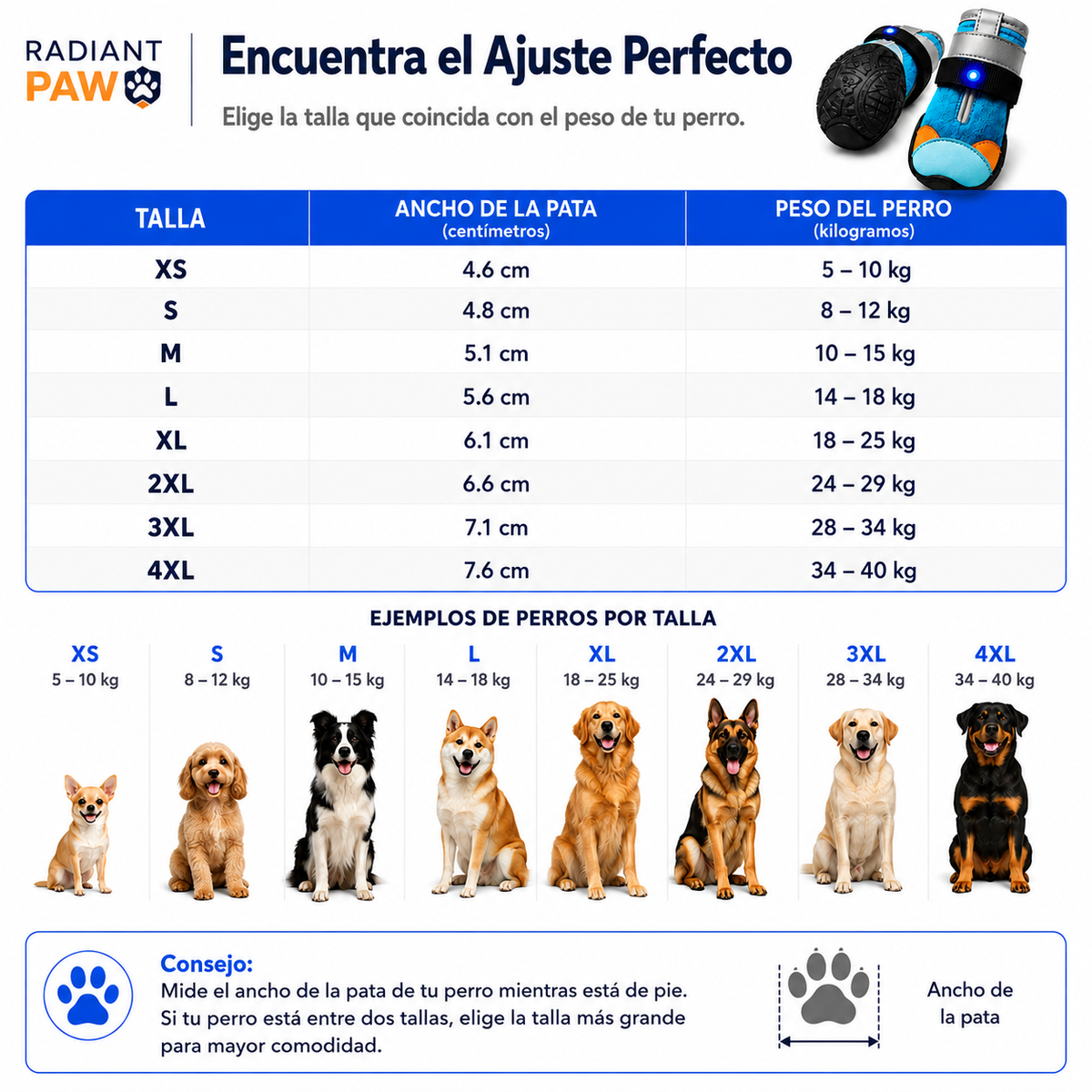 Radiant Paw™ Paseos nocturnos seguros