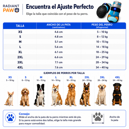 Radiant Paw™ Paseos nocturnos seguros