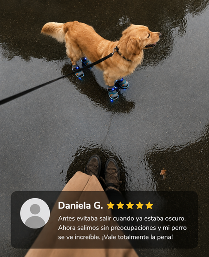 Radiant Paw™ Paseos nocturnos seguros